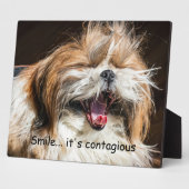 Shih tzu glanzende glimlach tekst past aan fotoplaat (Zijkant)
