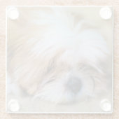 Shih Tzu Glazen Onderzetter (Achterkant)