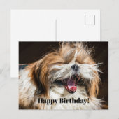 Shih tzu glimlachend lachend grappige Gelukkige ve Briefkaart (Voorkant / Achterkant)