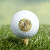 Shih Tzu Golfballen (Insitu Shirt)