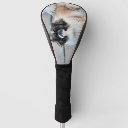 Shih Tzu Golfheadcover (Voorkant)