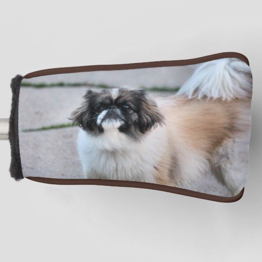 Shih Tzu Golfheadcover (Voorkant)