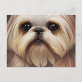 Shih Tzu Greetings Briefkaart (Voorkant)