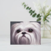 Shih Tzu Greetings Briefkaart (Staand voorkant)