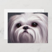 Shih Tzu Greetings Briefkaart (Voorkant / Achterkant)
