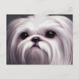 Shih Tzu Greetings Briefkaart