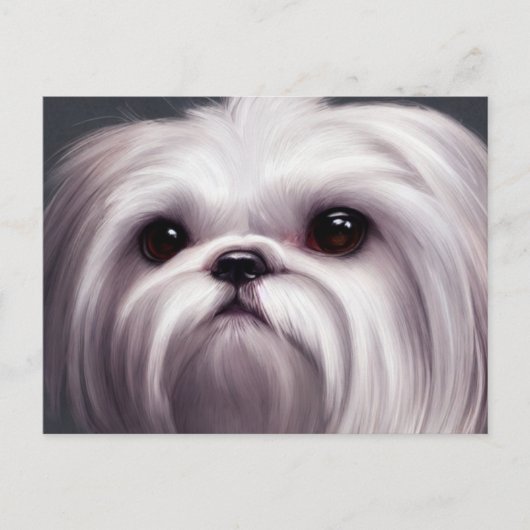 Shih Tzu Greetings Briefkaart (Voorkant)
