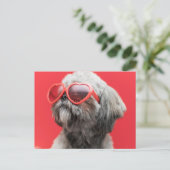 Shih Tzu Greetings Briefkaart (Staand voorkant)