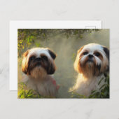 Shih Tzu Greetings Briefkaart (Voorkant / Achterkant)