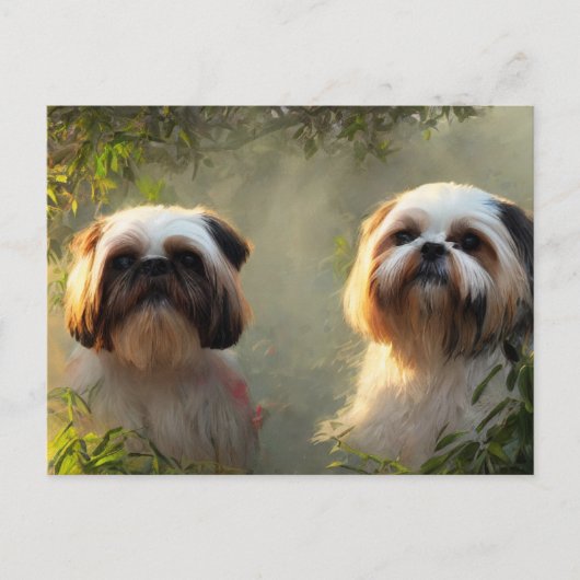 Shih Tzu Greetings Briefkaart (Voorkant)