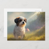 Shih Tzu Greetings Briefkaart (Voorkant / Achterkant)
