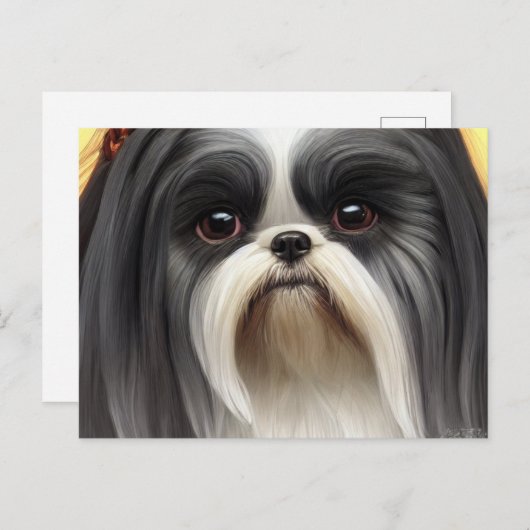 Shih Tzu Greetings Briefkaart (Voorkant / Achterkant)