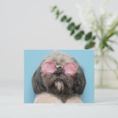 Shih Tzu Greetings Briefkaart (Staand voorkant)