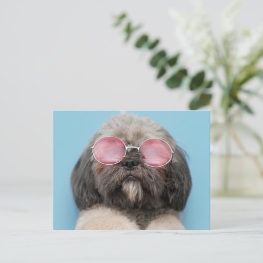 Shih Tzu Greetings Briefkaart (Staand voorkant)