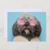 Shih Tzu Greetings Briefkaart (Voorkant / Achterkant)