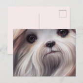 Shih Tzu Greetings Briefkaart (Voorkant / Achterkant)
