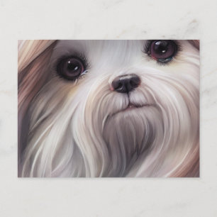 Shih Tzu Greetings Briefkaart