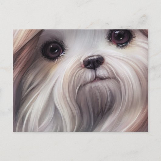 Shih Tzu Greetings Briefkaart (Voorkant)