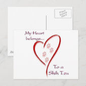 Shih Tzu Heart hoort erbij Briefkaart (Voorkant / Achterkant)