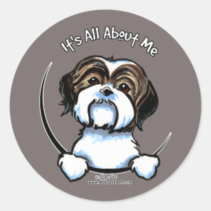 Shih Tzu heeft alles over mij Ronde Sticker