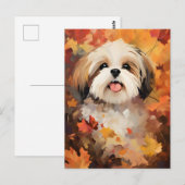 Shih Tzu Herfst Dankzegging  Briefkaart (Voorkant / Achterkant)
