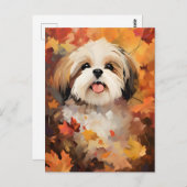 Shih Tzu Herfst Thanksgiving  Briefkaart (Voorkant / Achterkant)