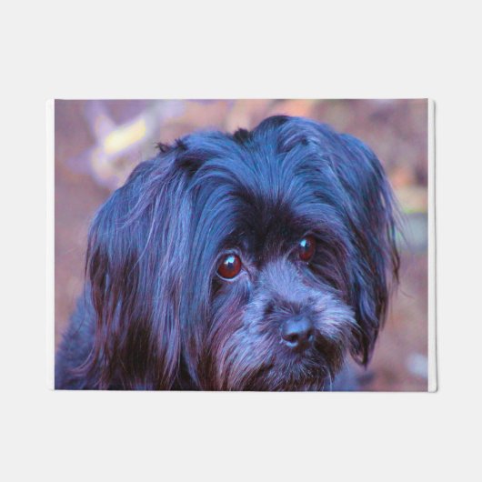 Shih Tzu hond. Deurmat (Voorkant)