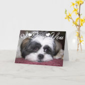 Shih Tzu Hond Foto Afbeelding Ik Hou van Jou Kaart (Gele Bloem)