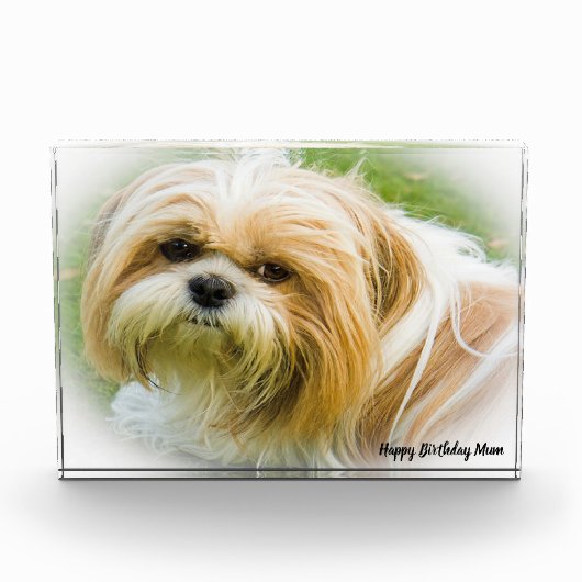 Shih Tzu Hond Fotoblokken (Voorkant)