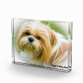 Shih Tzu Hond Fotoblokken (Rechts)