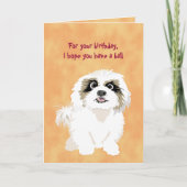 Shih Tzu Hond Grappige Verjaardag voor Hondeneigen Kaart (Voorkant)