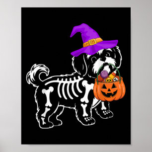 Shih Tzu Hond Halloween Soky Skelet Trick Or Trea Poster