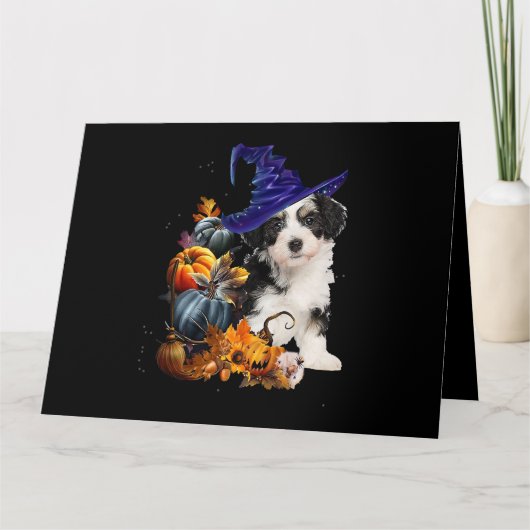 Shih Tzu Hond Heks En Pompoenen Halloween Thanksgi Kaart (Voorkant)
