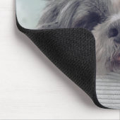 Shih Tzu, hond, huisdier Muismat (Hoek)