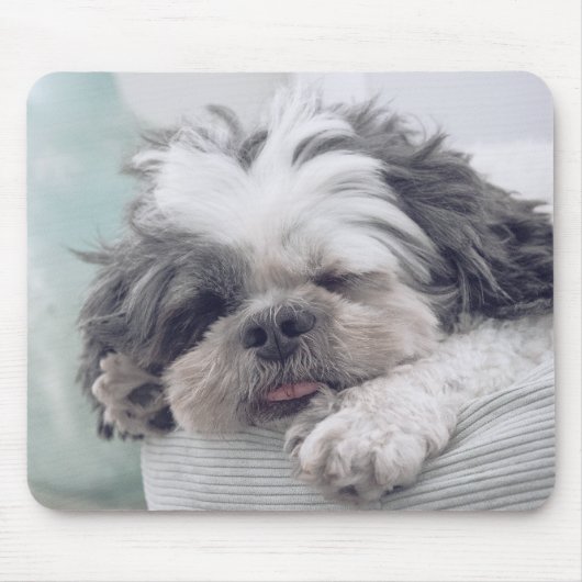 Shih Tzu, hond, huisdier Muismat (Voorkant)