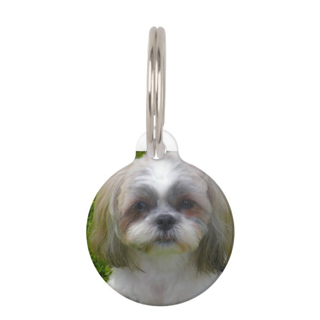 Shih Tzu-hond. Huisdierpenning (Voorkant)