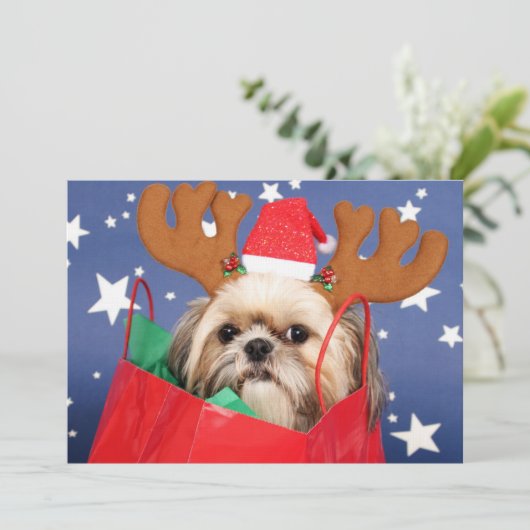 Shih Tzu-hond in een rode tas (Staand voorkant)