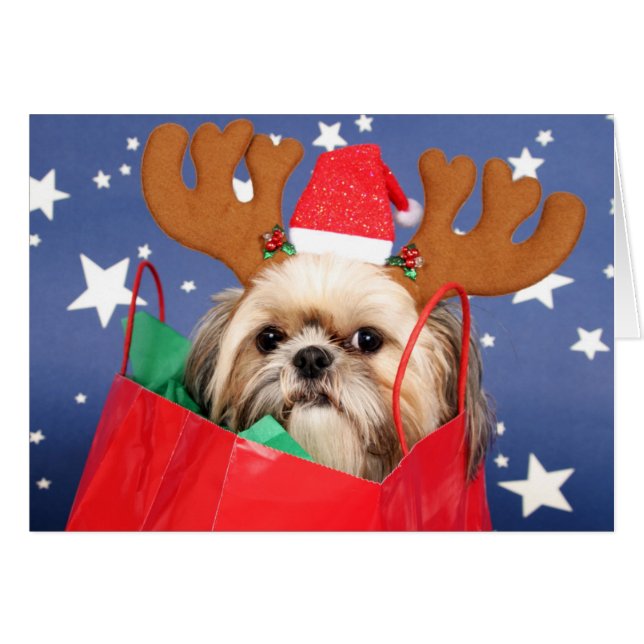 Shih Tzu-hond in een rode tas (Voorkant Horizontaal)