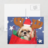 Shih Tzu-hond in een rode tas Briefkaart (Voorkant / Achterkant)