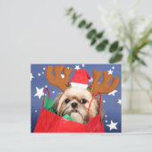 Shih Tzu-hond in een rode tas Briefkaart (Staand voorkant)