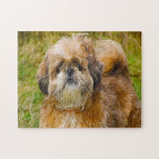 Shih Tzu Hond Jigsawspellen. Legpuzzel (Horizontaal)