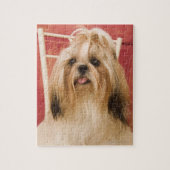 Shih-tzu hond legpuzzel (Verticaal)
