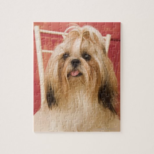 Shih-tzu hond legpuzzel (Verticaal)