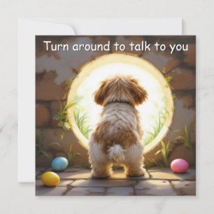 Shih Tzu hond - met familienaam Feestdagenkaart