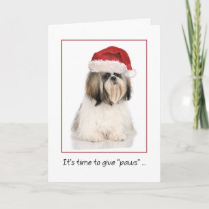 Shih Tzu Hond met Grappige Kerstman Hoed Kerstmis Kaart