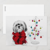 Shih Tzu hond met rode strik van speelgoed kerstbo Feestdagenkaart (Voorkant / Achterkant)