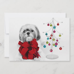 Shih Tzu hond met rode strik van speelgoed kerstbo Feestdagenkaart