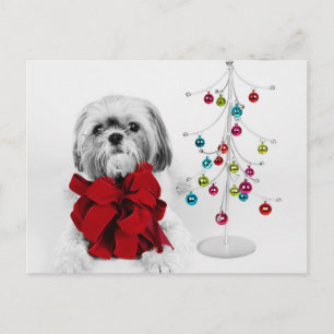 Shih Tzu hond met rode strik van speelgoed kerstbo Feestdagenkaart