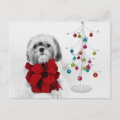 Shih Tzu hond met rode strik van speelgoed kerstbo Feestdagenkaart (Voorkant)