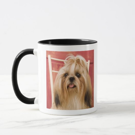 Shih-tzu hond mok (Links)